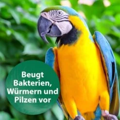 Quiko Med V Liquid 100 Ml: Mit Hochwertigem Oregano-Öl Für Ziervögel -Tierbedarfs Rabatt Geschäft 88a4d869da906e8aaa1074413d2b5765c37fe51c 1387820 de DE 18f5cb5cc5b0a1074c44f20b530fefedca292a50auwynr