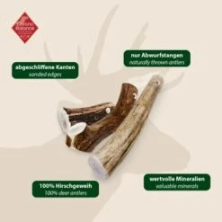 ChronoBalance Geweih Ganz (M) 2er Paket -Tierbedarfs Rabatt Geschäft 88cd768ead66d50ca94cd026cae2dd90ff072241 1418691 de DE 97f6faa2e066481717c6e9970bb381a3824303b8mFGeGe