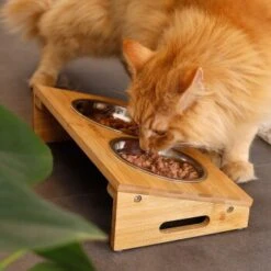 Lionto Futterstation Mit Bambusgestell -Tierbedarfs Rabatt Geschäft 8c56991d507e18b3df4a2f4045dbd93cd3bd9353 1665980 de DE aa6482f6e46fc6375e62da8010ac0599c0ca4960aJFeP6