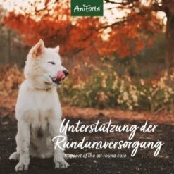 Aniforte 4in1 Complete Dog 10 Aniforte 4in1 Complete Dog -Tierbedarfs Rabatt Geschäft 8c5939e9a034077a3552f158dbe5f91fd29e1215 1332843 de DE aca85754970fb7b2c441c0d2dd5fcc395b1360c0UEca49