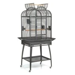 Montana Cages Voliere Havana Dunkelgrau 17 Montana Cages Voliere Havana Dunkelgrau -Tierbedarfs Rabatt Geschäft 8c5dda96dcd1ea5fa941a34eb267552d97b45cb0 1070399 de DE cb0ae5e208fd4e2582ee831e9287d89255e31f8050vrNy