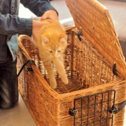 Aumüller Katzenhöhle Eckig -Tierbedarfs Rabatt Geschäft 8d87b362ac9438a292739b68c12353b34ae9f49f 1d1df7833ded5af56aedf174929409f94e84fa5b