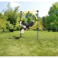 AniOne Agility Set -Tierbedarfs Rabatt Geschäft 8dd2c346cfba9b57b3f14270694b3f975d0558fa 8ae19109d8863c833405d8d5b2e72b4315e858f5