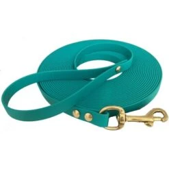 Bestseller 11 Bio-leine Ab 35 Kg Biothane Schleppleine Türkis 3 M