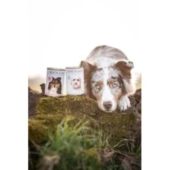 DOG'S LOVE Adult Hypoallergen 6x400g -Tierbedarfs Rabatt Geschäft 8e9dbde41a1a7703f7e724e8cfbb5769f1859ef8 1274558 2