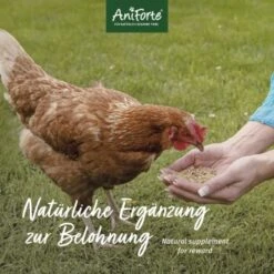 Aniforte Hühnertraum 2,5kg 9 Aniforte Hühnertraum 2,5kg -Tierbedarfs Rabatt Geschäft 91d0d53fa3b5ad18bba084e121acb841d1fbb121 1489436 de DE b026743637447d83056b1e895679d3ce932791feKHu6MG
