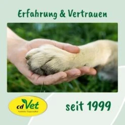 CdVet Ohrenpflege 20ml 15 CdVet Ohrenpflege 20ml -Tierbedarfs Rabatt Geschäft 91ea9619f0a6a9470d4078716478f9946127aa43 1033310 de DE 9de31ae422c889f65e12a1085ee6ba81b11de6a3JFtiHC