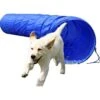Dobar Agility Tunnel, 60 X 500 Cm 1 Dobar Agility Tunnel, 60 X 500 Cm -Tierbedarfs Rabatt Geschäft 9317891c8c26e1a60f69c909139b6f64f81acffc a9b8aeeca69e52c8a2789d216e0e38b4afddf736