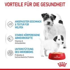 ROYAL CANIN Starter Mousse 12x195g -Tierbedarfs Rabatt Geschäft 9355c112198d1d7f6f1735a4ed04081f03514a9a 9003579010532 5