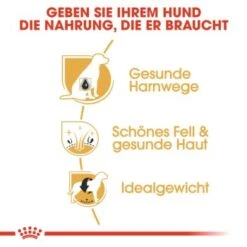 ROYAL CANIN Bichon Frisé Adult 1,5 Kg 11 ROYAL CANIN Bichon Frisé Adult 1,5 Kg -Tierbedarfs Rabatt Geschäft 9360ef399dd7991f4138416a3168c1b58cc56899 7f2fbf0f9eb0dedb42b1d34e34eb41ac36d13a97