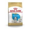 ROYAL CANIN Dalmatian Puppy 12kg 1 ROYAL CANIN Dalmatian Puppy 12kg -Tierbedarfs Rabatt Geschäft 9382d940cc28c8c30c9bd3f1689ced9e62f62f96 1037361 de DE rc2 3