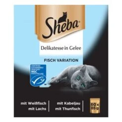 Sheba Delikatesse In Gelee 60x85g 7 Sheba Delikatesse In Gelee 60x85g -Tierbedarfs Rabatt Geschäft 93890757777d5de401544484eacc17bb6f2d684a dcc11d1531a82c8bd2bb3c0262ea3fc504426e44
