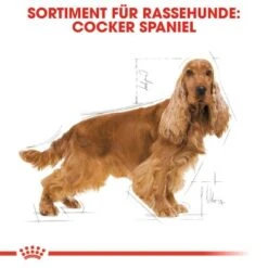 ROYAL CANIN Cocker Adult 12 Kg 15 ROYAL CANIN Cocker Adult 12 Kg -Tierbedarfs Rabatt Geschäft 93a5a430a150edce75a03736821b4a48f8c895f6 1061209 de DE rc 2