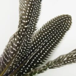 Schlitzohr Katzenangel Federanhänger 5x -Tierbedarfs Rabatt Geschäft 93b8e0c984d323f24d455bf8e74e2dbacef5703e 1484675 de DE 7b80f213f44ebcad765dbdebc25bf2d2f0177dbd64kHU2