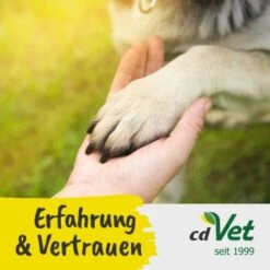 Fit-BARF SafeComplete 350 G 9 Fit-BARF SafeComplete 350 G -Tierbedarfs Rabatt Geschäft 9492ac4489cec81663caa600191d65977e3fdcfc 1667841 de DE 528921b6de88d102e9fc6f77543f8fb3f894d78aCA5zPe