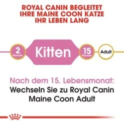 ROYAL CANIN Maine Coon Kitten 4 Kg 12 ROYAL CANIN Maine Coon Kitten 4 Kg -Tierbedarfs Rabatt Geschäft 9494efda15798aa930f4c836c086824869519e76 d153c89f98a812830b790602e2c1dd84504c30b9