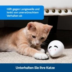 PetSafe Automatisches Katzenspielzeug RoloRat -Tierbedarfs Rabatt Geschäft 97df3eec34472f4ac76f2a0bbe4e75fdbbe02b64 1351522 de DE 83c2d308e962c4b6c64101ee39311b3a61647f71n2yR1C