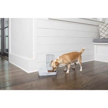 PetSafe Futterautomat Für 2 Mahlzeiten 6 PetSafe Futterautomat Für 2 Mahlzeiten – Bild 4