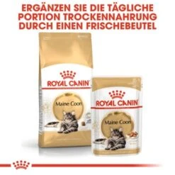 ROYAL CANIN Maine Coon 12x85g 13 ROYAL CANIN Maine Coon 12x85g -Tierbedarfs Rabatt Geschäft 98a6b1fde98d85d644b159a3ec5257e7ab116b9d 1229815 de DE rc 4