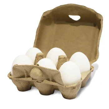 Aniforte Toneier 6er Pack 7 Aniforte Toneier 6er Pack – Bild 5