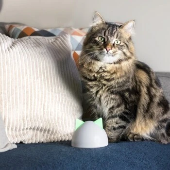 SureFlap Sure Petcare Hub 9 SureFlap Sure Petcare Hub – Bild 7