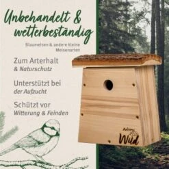 Aniforte Wild Nistkasten Für Blaumeisen 7 Aniforte Wild Nistkasten Für Blaumeisen -Tierbedarfs Rabatt Geschäft a1d0dc4014db6a1ff88b15aaa1ec6e7ded95704e 1457286 de DE adb2bebb434aaa5d918a9677b0fae3e19cc34fb192NYxd