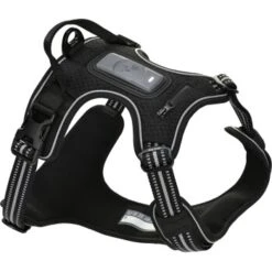 Fressnapf Tracker Pathfinder Geschirr Set S 11 Fressnapf Tracker Pathfinder Geschirr Set S -Tierbedarfs Rabatt Geschäft a2df04aeb351004724b0f8f10cdeae68ee99c98e 1409260 0