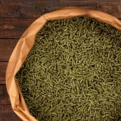 Knabbermann Carangas Meerschweinchenfutter 5 Kg 9 Knabbermann Carangas Meerschweinchenfutter 5 Kg -Tierbedarfs Rabatt Geschäft a2e9cfd2264a4440e350760ec4221a6690c6de11 1428488 de DE 94a0405cce40204948fd074580f5b244e504aac3WMbRWS