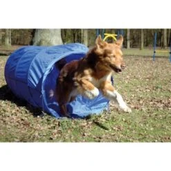 Dobar Agility Tunnel, 60 X 500 Cm 8 Dobar Agility Tunnel, 60 X 500 Cm -Tierbedarfs Rabatt Geschäft a70db425a55e65c0dd33cb4658677f3cead28e72 3dc1d9596c73e287c8ea8bc83f8445abe7adc92a