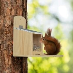 AniOne Eichhörnchen Futterspender -Tierbedarfs Rabatt Geschäft a7d05daa79174a539062e88ae3dab404e6f4e0be 1272033 de DE AniOne 3