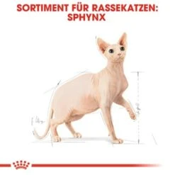 ROYAL CANIN Sphynx Adult 10 Kg 16 ROYAL CANIN Sphynx Adult 10 Kg -Tierbedarfs Rabatt Geschäft a8cac64f1ab197f81295c694045c859b936cf469 3d2d3e46b1efb06d8dd5982093aa1fc1a81b6f69