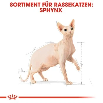 ROYAL CANIN Sphynx Adult 10 Kg 9 ROYAL CANIN Sphynx Adult 10 Kg – Bild 7