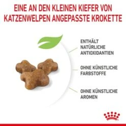 ROYAL CANIN Kitten 4 Kg 21 ROYAL CANIN Kitten 4 Kg -Tierbedarfs Rabatt Geschäft a8df74b6725246cc1c5fa7ed87e8fdc0a4cfc24f 3182550702973 6