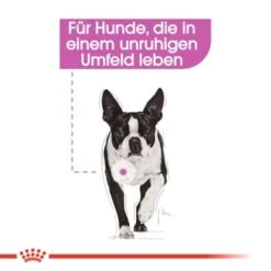ROYAL CANIN Relax Care 12x85g -Tierbedarfs Rabatt Geschäft a8e16ebf9b383d62b8f98fd1629d4e4865619a6e 6b36971f11a71751b0758ac67032d8e771cf5219