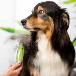 Moser Unterwollrechen 7 Moser Unterwollrechen -Tierbedarfs Rabatt Geschäft a9457afef8cc9854b1cc05428060e6aca1aa62d7 f209ef3f70da272484eca7394d5156f09925de7d