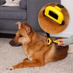 Lionto Haustierbürste, Zupfbürste 13 Lionto Haustierbürste, Zupfbürste -Tierbedarfs Rabatt Geschäft a99a14a7250fd4e501ec529126934f0a8e973480 1665908 de DE 47ac745e0253c5bc3fba7e69b1681c237a8f3a97orElkU