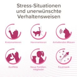Beaphar CatComfort Excellence Nachfüll-Flakon Für Verdampfer -Tierbedarfs Rabatt Geschäft aa6740035f99902181a1da29aff4eee13880e36f 1416647 1 2
