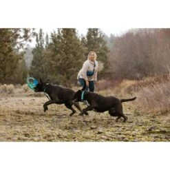 Ruffwear Pacific Ring™ Spielzeug Blau/ Türkis 18 Ruffwear Pacific Ring™ Spielzeug Blau/ Türkis -Tierbedarfs Rabatt Geschäft aaae4ecd59db92ffe25787fd56b7315d42974ecb 1444351 de DE f747ae339bc2beff156a317c539c1237b854177bd9ZZMN