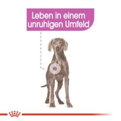 ROYAL CANIN Relax Care Maxi 9 Kg -Tierbedarfs Rabatt Geschäft aae200dd20a34c1bd2ab53469bd083be6075a270 3f0541ec8923021cfa4a489ac16d527744f53a6e