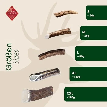 ChronoBalance Geweih Halbiert (M) 2er Paket 7 ChronoBalance Geweih Halbiert (M) 2er Paket – Bild 5