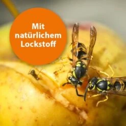 Ardap Wespenfalle Nachfüller 2er Pack 9 Ardap Wespenfalle Nachfüller 2er Pack -Tierbedarfs Rabatt Geschäft ac2a3ca10c9523cc4a115b047146d0d9905ff747 1498739 de DE 5a6cbbe6a809814d16ebf29628845f71df96e6dforjamp