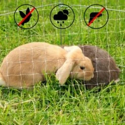 Lionto Katzennetz Inkl. Befestigung 8 Lionto Katzennetz Inkl. Befestigung -Tierbedarfs Rabatt Geschäft ad1b651d8bcc461ab7a5d32a4c77b44e521cf768 1665913 de DE 7c500006d9abf3223e26fa8841d70bed2db024adIv4nbt