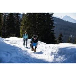 Ruffwear Powder Hound™ Hundejacke Blau M -Tierbedarfs Rabatt Geschäft ad48c7824c4fa56ab99bf99fe279a07bb74f6278 1639789 de DE 5260aa3c176a0e9de27498c6464d58bee4c79182MEN6wd