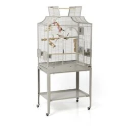 Montana Cages Vogelkäfig Madeira I -Tierbedarfs Rabatt Geschäft adb6bc4315f8a7bf8df1ec08da2ad6902e3f7f57 1070554 de DE 3c2df626629843ea549175feac64ed12d8d4391aiE54Tm