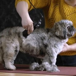 Moser Schermaschine Max 45 Inkl. ASK 11 Moser Schermaschine Max 45 Inkl. ASK -Tierbedarfs Rabatt Geschäft b0d4eca208b1c44fde9769108a0a7feb3a3a5ad2 da57035be550c76ab9dcf7d8dbc15959d076f3f0