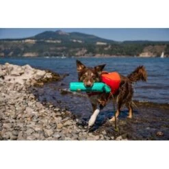 Ruffwear Lunker™ Spielzeug Blau/ Türkis 22 Ruffwear Lunker™ Spielzeug Blau/ Türkis -Tierbedarfs Rabatt Geschäft b1ff74faaf51c648517e284bc677372b2de917b1 1364294 de DE 872baa13c3c684e3cd884d6a02e37e7e22ad686cLNC7EY