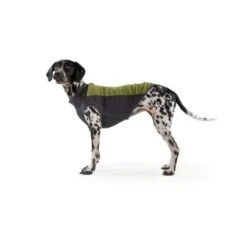 Ruffwear Climate Changer™ Fleece-Pullover Für Hunde Rot S -Tierbedarfs Rabatt Geschäft b28669818d8fcb81e0661ed639732808849f280a 1369661 de DE 64aaf340211e6364e47cd57e7a205b9b6074a78fHTZZhE