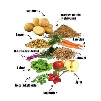 Eat Small EatSmall 2x10kg Balance Trockenfutter 7 Eat Small EatSmall 2x10kg Balance Trockenfutter – Bild 5