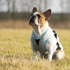 Trovet Suitical Kühlweste Dry Cool M 11 Trovet Suitical Kühlweste Dry Cool M -Tierbedarfs Rabatt Geschäft b32e0654ab987d26790de796cf13d2e54cbed73f 1321386 de DE Trovet suitical 6 Kopie