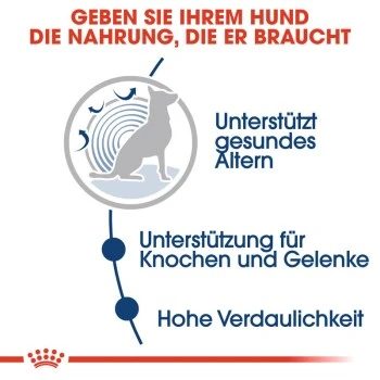 ROYAL CANIN Maxi Adult 10x140g 6 ROYAL CANIN Maxi Adult 10x140g – Bild 4